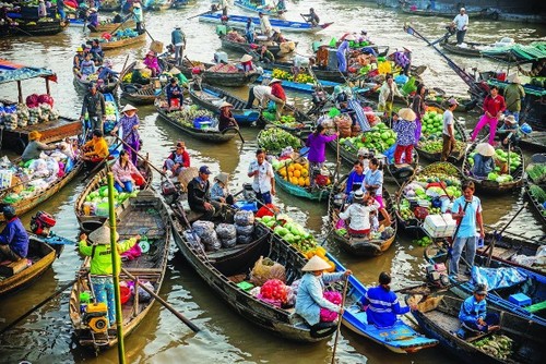 Cần Thơ: Phát triển du lịch theo hướng đô thị sinh thái miệt vườn - ảnh 2